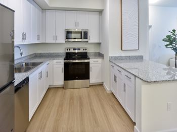 Premium stainless-steel kitchen appliances